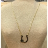 Colar Ferradura com Flor Dourado EL0014.2