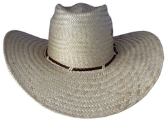 Chapéu Karandá Rubi Pantanal A II - comprar online