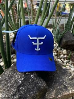 Boné Texas Farm Azul BN811.3 - comprar online