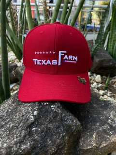 Boné Texas Farm Vermelho BN374.2 - comprar online