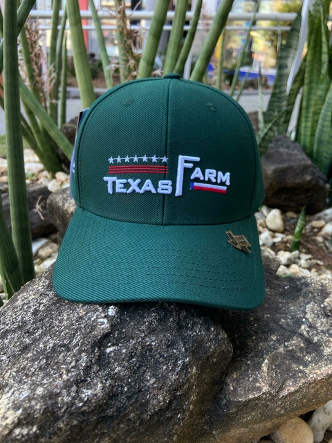 Boné Texas Farm Verde Musgo BN374.1 - comprar online