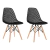 Conjunto 2 Cadeiras Eames Maglia Pp Preto
