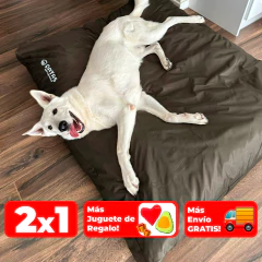 CAMITA PERRO/GATO ANTIDESGARRO - RECTANGULAR - comprar online