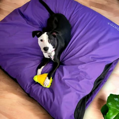 CAMITA PERRO/GATO ANTIDESGARRO - RECTANGULAR - PATAS.TIENDA