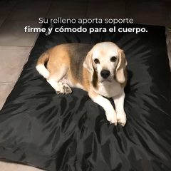 CAMITA PERRO/GATO ANTIDESGARRO - RECTANGULAR en internet