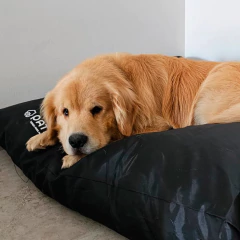 CAMITA PERRO/GATO ANTIDESGARRO - RECTANGULAR - PATAS.TIENDA