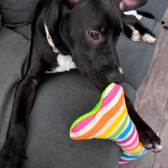 JUGUETES GRANDES - tienda online