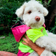 PILOTOS - tienda online