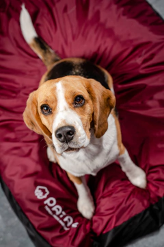 FUNDA ANTIDESGARRO RECTANGULAR