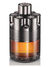 Wanted by Night EDP 100ml - comprar online