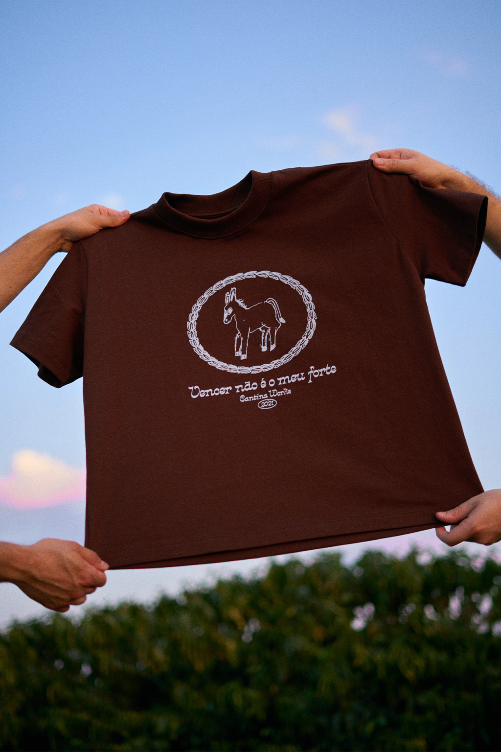 CAMISETA BOXY FIT - BURRINHO