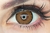 Lentes Wolf Brown