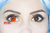 Lentes Manson Red - comprar online