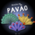 Broche do Pavão - comprar online