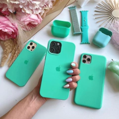 Apple Silicon-Spearmint ip 11