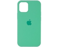 apple spearmint-ip 16 pro max