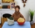 Alf - NECA Ultimate en internet