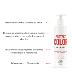 Shampoo Protect Color 250 ml - comprar online