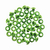 EYELETS VERDE MANZANA