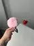 Plug Anal em Aço com Pompom - Rainbow Spicy