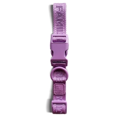 Coleira Lila - comprar online
