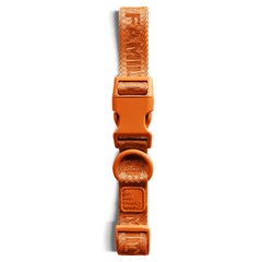 Coleira Mandarino - comprar online