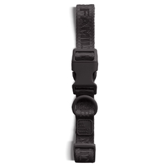 Coleira Kuro - comprar online