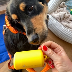 Poop Bag Holder - comprar online