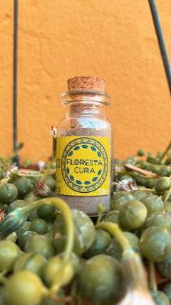 Banner de la categoría Aroeira