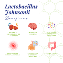 Lactobacillus johnsonii · 2 Billones 60 cápsulas en internet