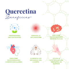 Quercetina · 585 mg 30 cápsulas en internet