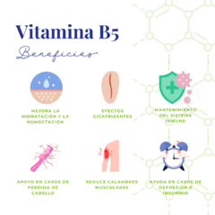 Vitamina B5 · 500 mg 30 cápsulas en internet