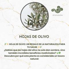 Hojas de Olivo - 250gr - comprar online