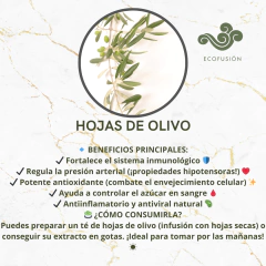 Hojas de Olivo - 250gr en internet