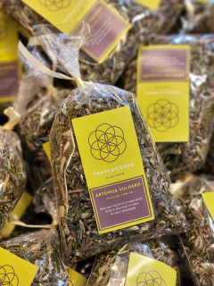 Artemisa Vulgaris - comprar online