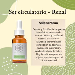 Set Circulatorio Renal - tienda online