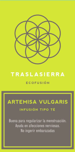 Artemisa Vulgaris