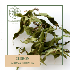 Cedrón - 1KG - comprar online