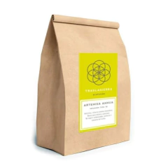 Artemisa annua - 250 grs - comprar online