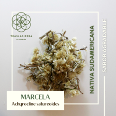 Marcela - comprar online