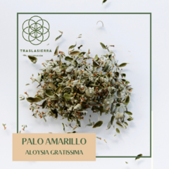 Palo Amarillo - 1 kg - comprar online