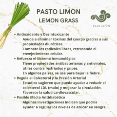 Pasto limon - tienda online