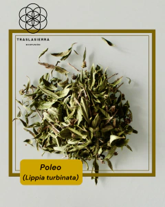 Poleo - comprar online