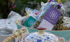 Tilo - comprar online