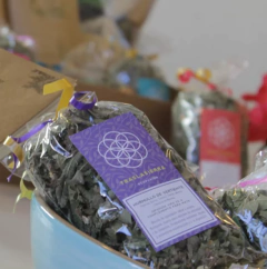 Barba de Piedra - Tienda ecofusion