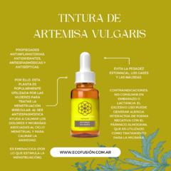 Artemisa vulgaris - TM 50ml en internet