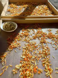 Cascara de Naranja amarga en internet