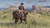 Red Dead Redemption 2 en internet