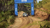 DiRT Rally 2.0 - comprar online