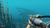 Imagen de Stranded Deep